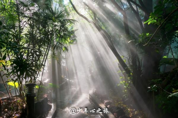交往了一年多了 现在女朋友喜欢上别的人了 我真的需要他 因为我爱她 她说和我一起没有激情 我该怎么挽回呢游戏画面